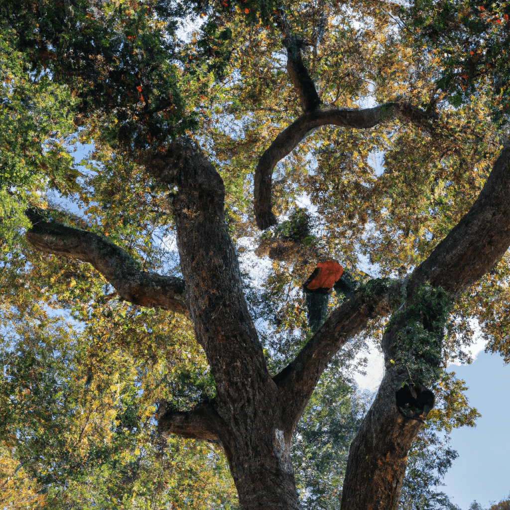 Master the Art of Pruning: Expert Techniques for Shaping Perfectly Balanced Trees